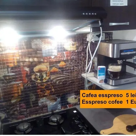 Homestay Florentin Hostel: Budget-friendly With Kitchen Access And Smart Tv *